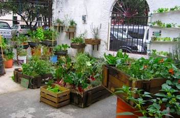 urban_gardening